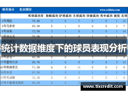 统计数据维度下的球员表现分析